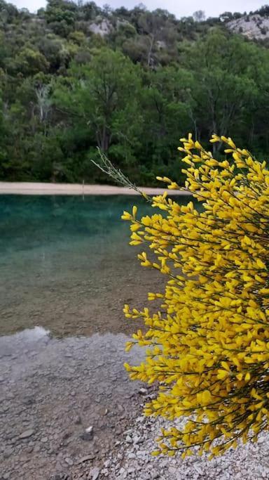 House Of Magic Lake 格雷乌莱班 外观 照片